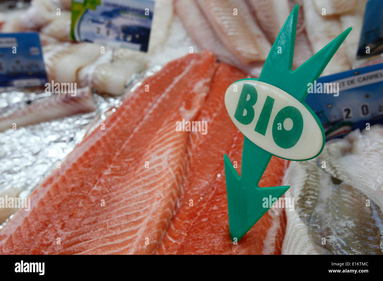 Organic salmon Stock Photo