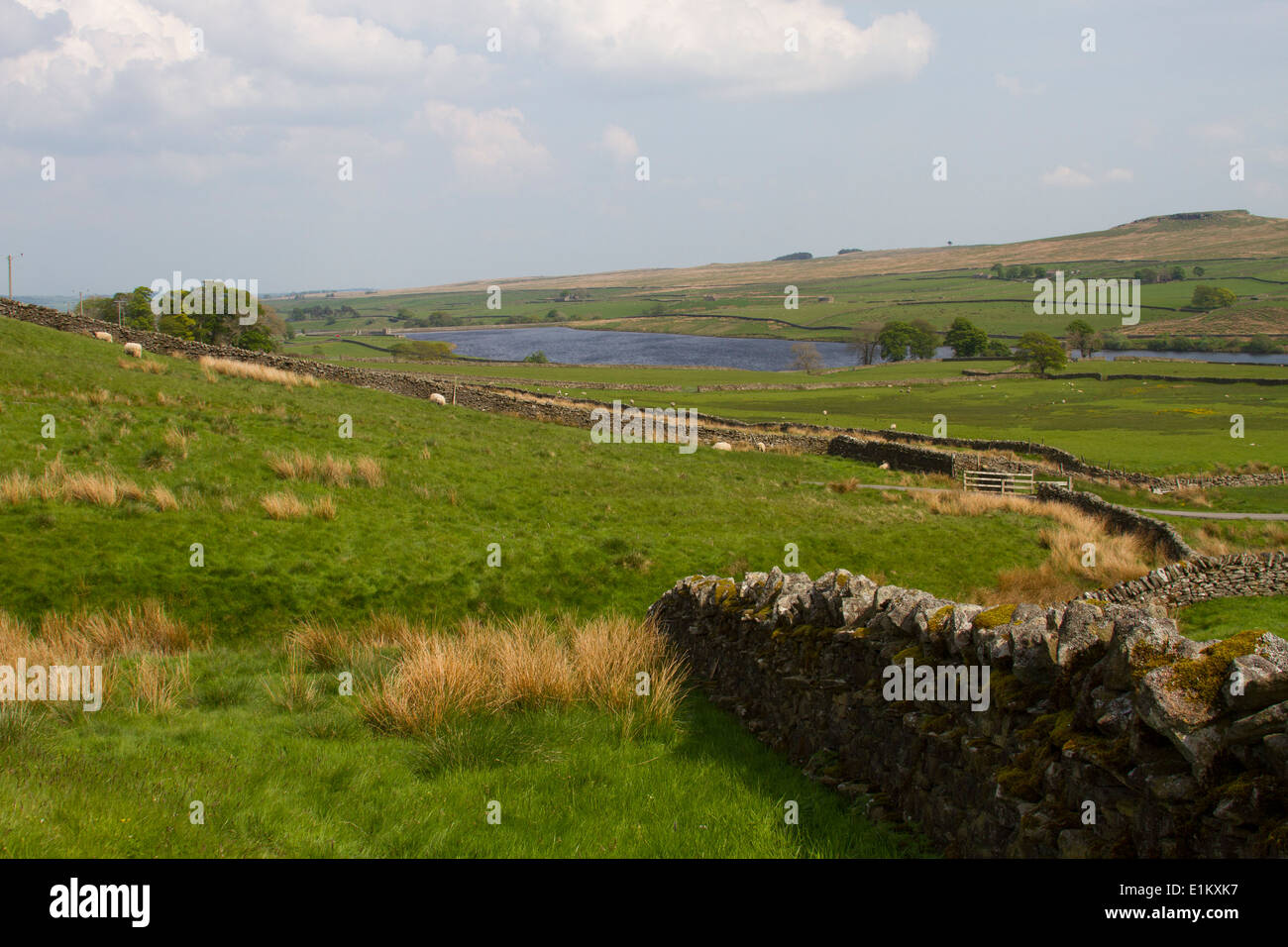 Upper Teesdale view Stock Photo