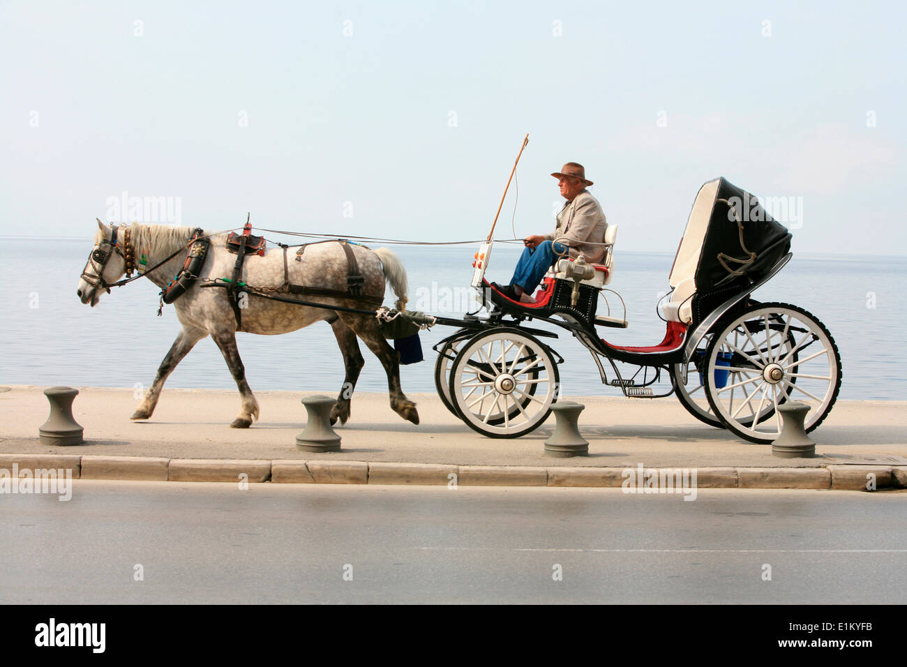 Carriage horse hi-res stock photography and images - Alamy