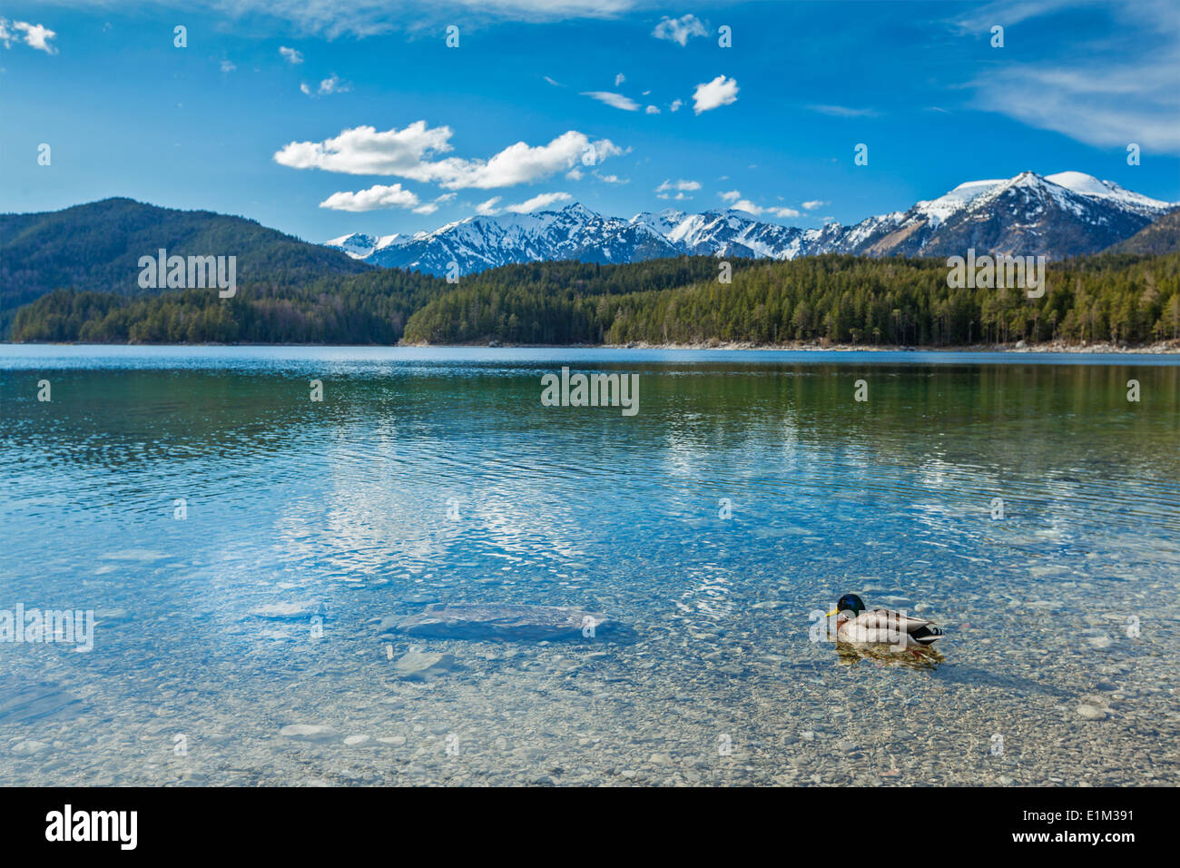 Eibsee lake. Bavaria, Germany Stock Photo - Alamy