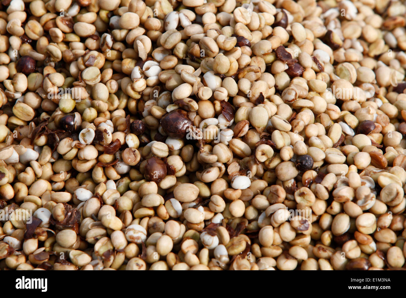 Coffee factory africa hires stock photography and images Alamy