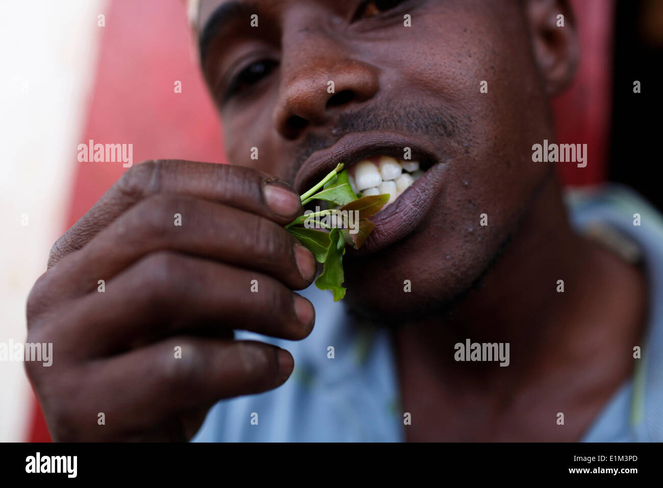 Man chewing miraa (qat) Stock Photo