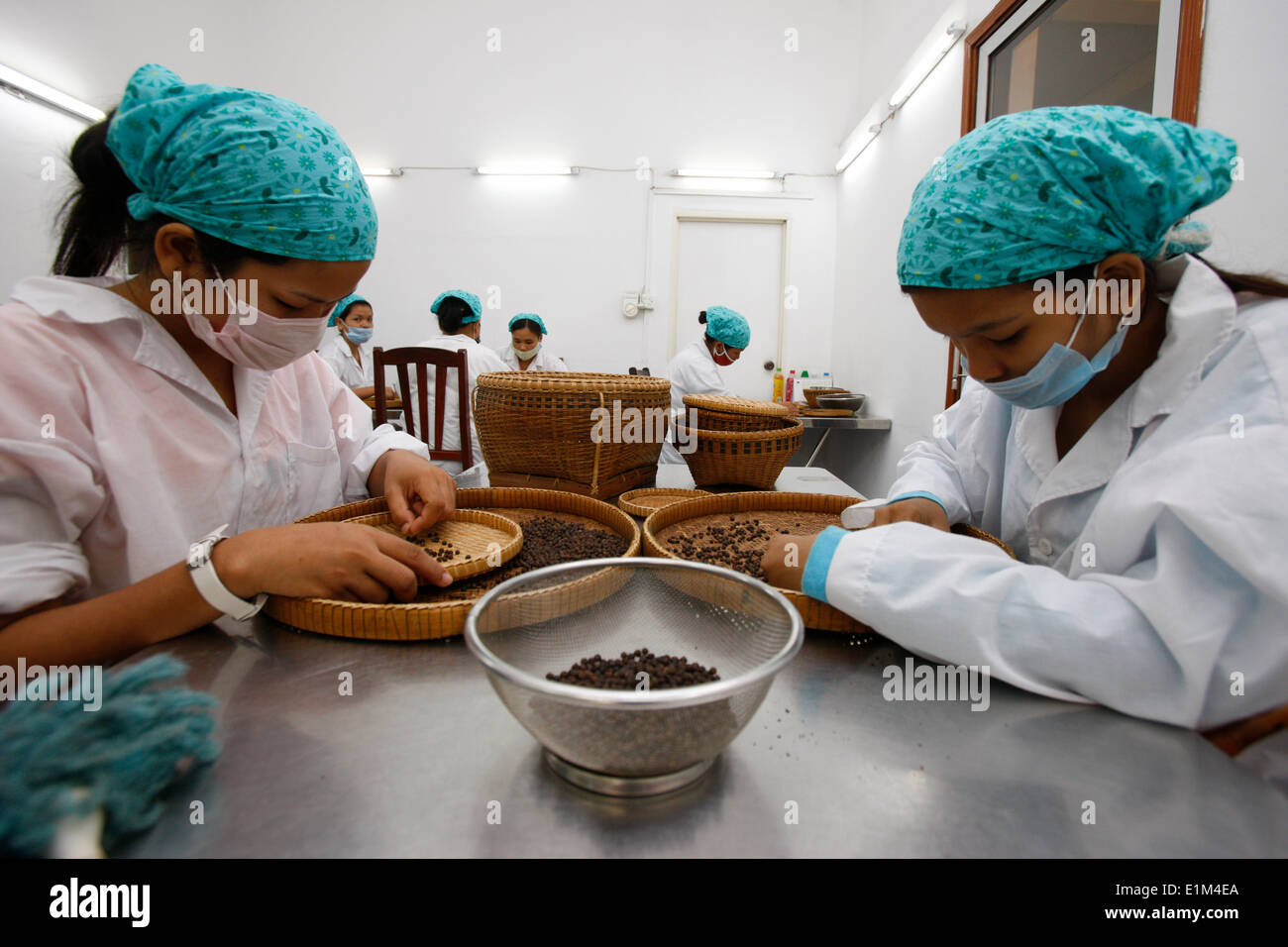 Phnom penh factory hi-res stock photography and images - Alamy