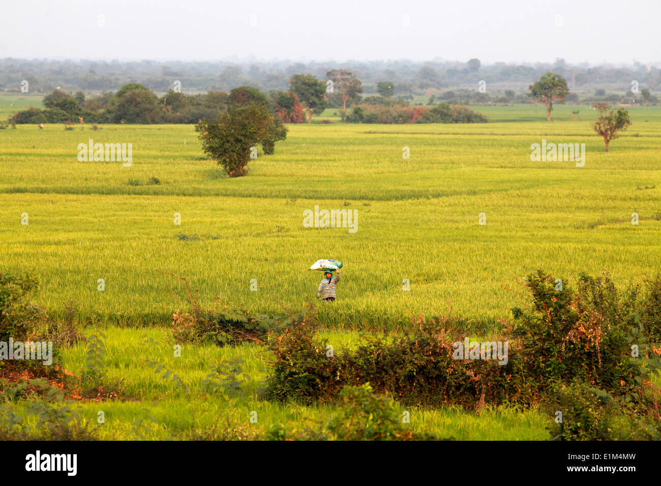 Kompong Cham landscape Stock Photo