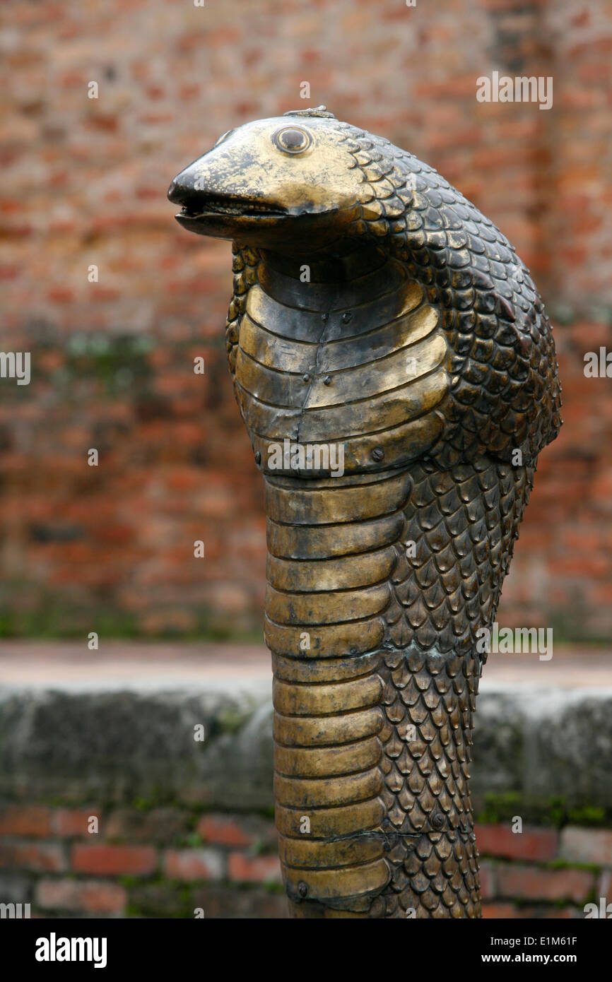 Naja snake in Bhaktapur royal palace Stock Photo