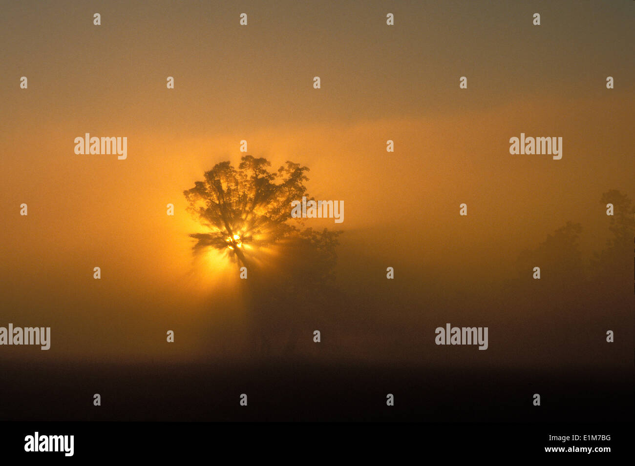 At sunrise hi-res stock photography and images - Alamy