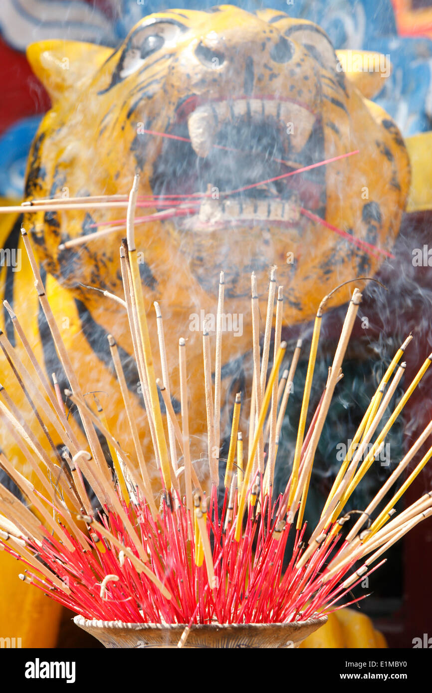 Tiger and incense Stock Photo Alamy