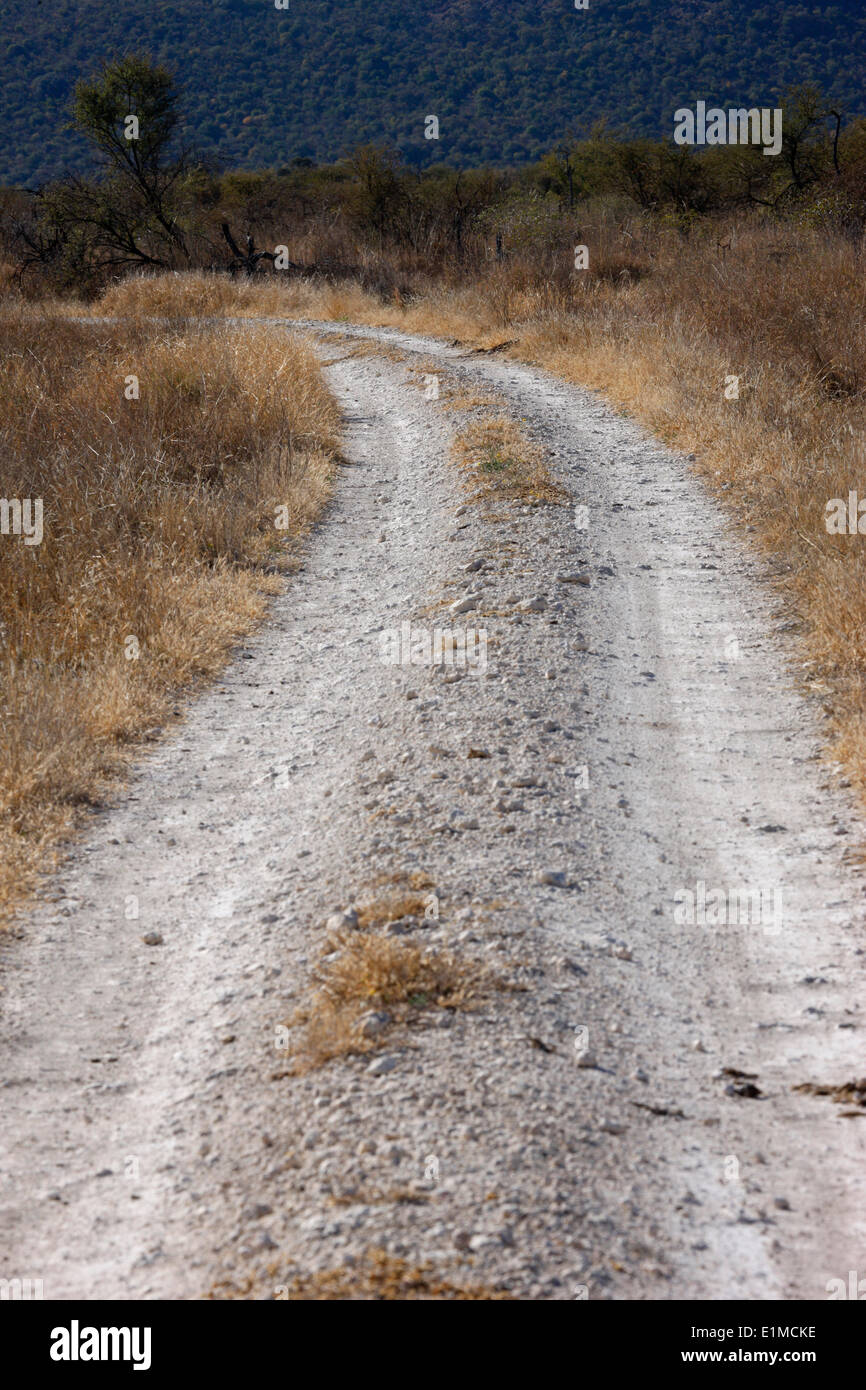 Dirt road in the bush Stock Photo Alamy