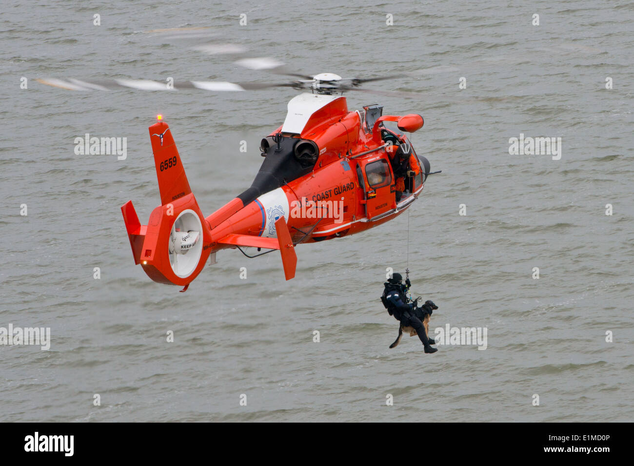 A Coast Guard K-9 handler with the Marine Safety and Security Team in Galveston, Texas and his dog are lowered to boat from a C Stock Photo