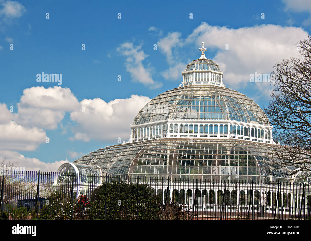 Palm House in Sefton Park Liverpool UK Stock Photo Alamy
