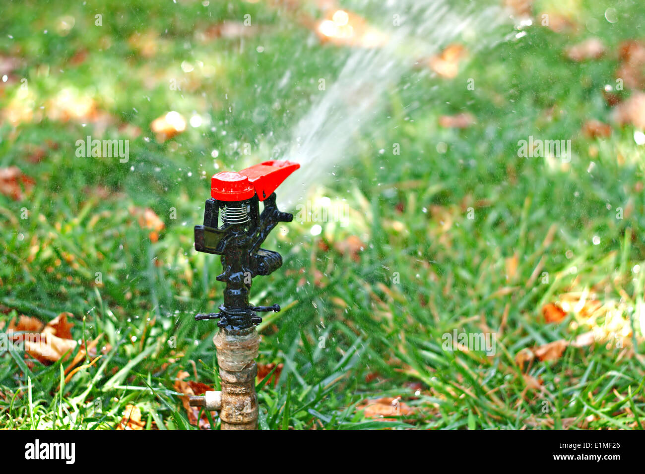 Automated garden lawn sprinkler Stock Photo Alamy