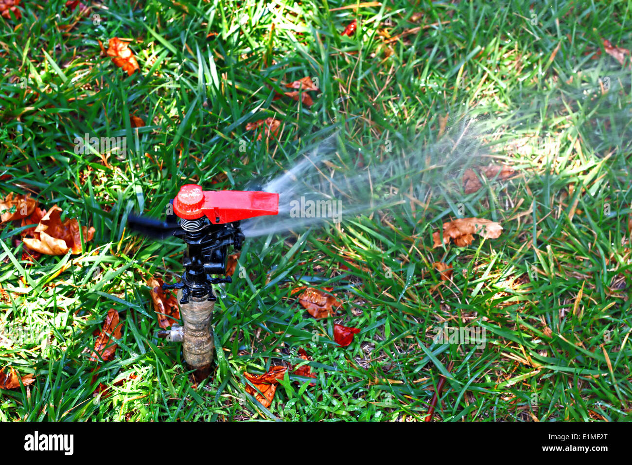 Automated garden lawn sprinkler Stock Photo Alamy