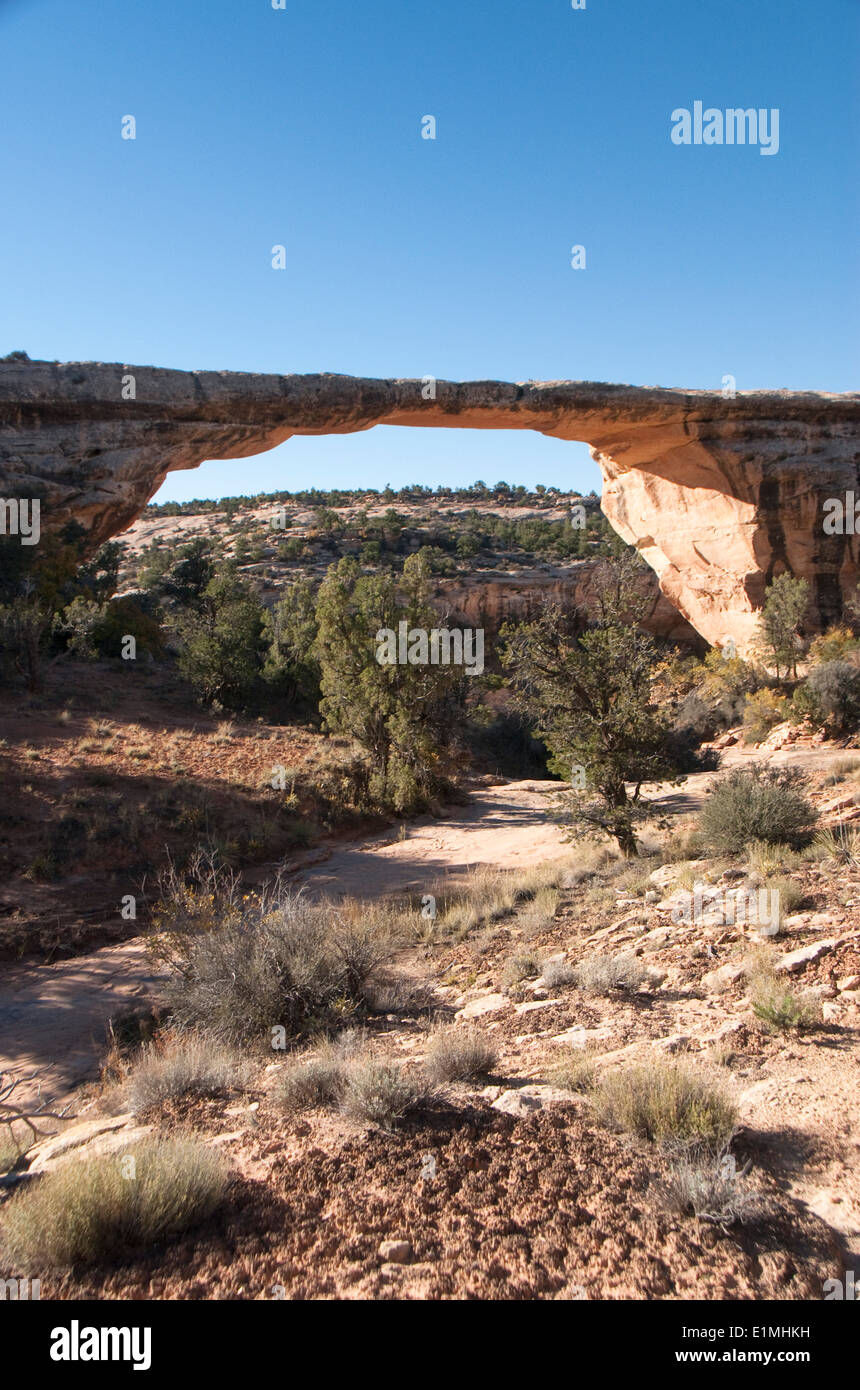 USA, Utah, Natural Bridges National Monument, Owachomo Bridge Stock