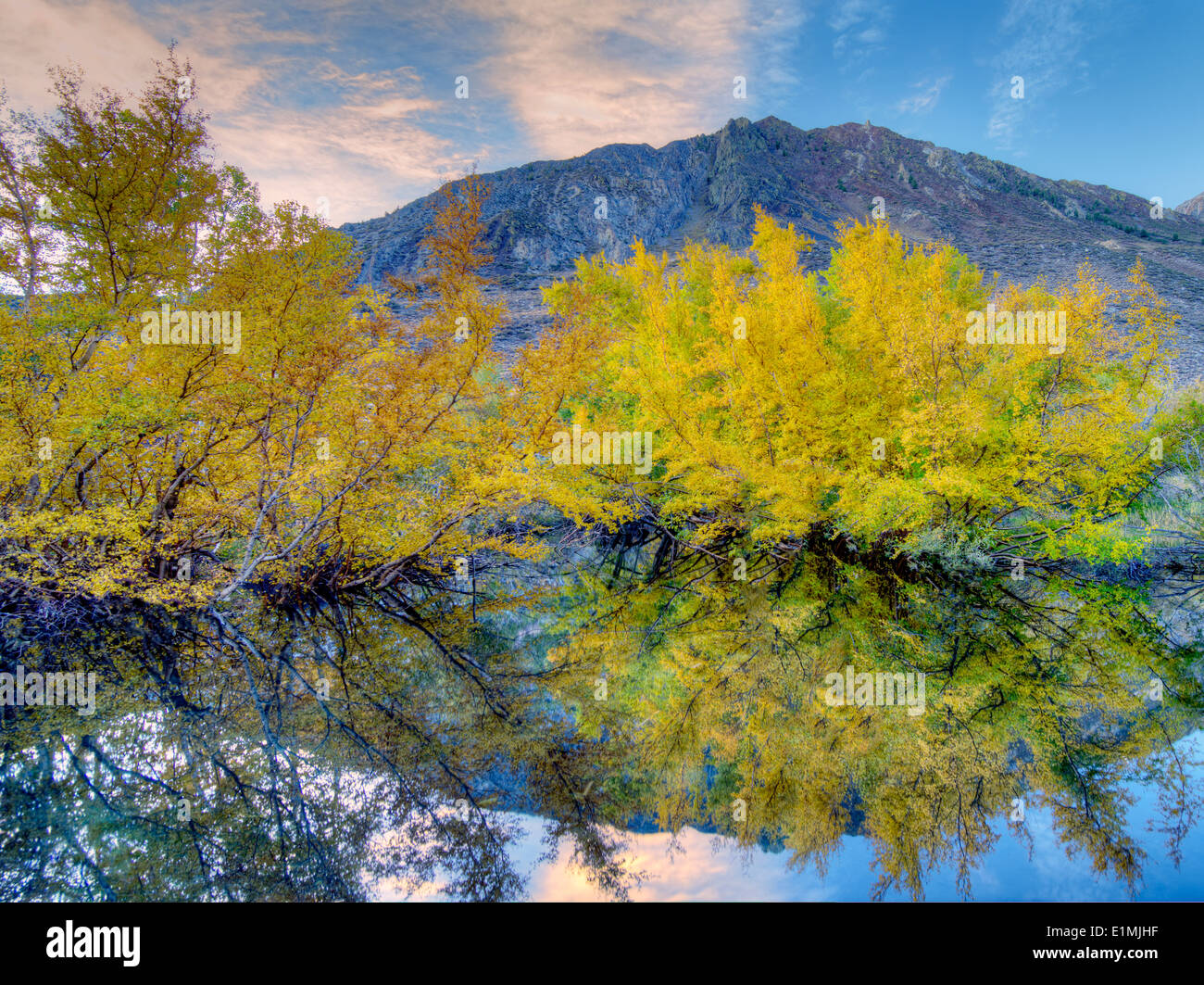 Beaver pond and fall color on McGee Creek. Eastern Sierra Nevada Mountains. California Stock Photo