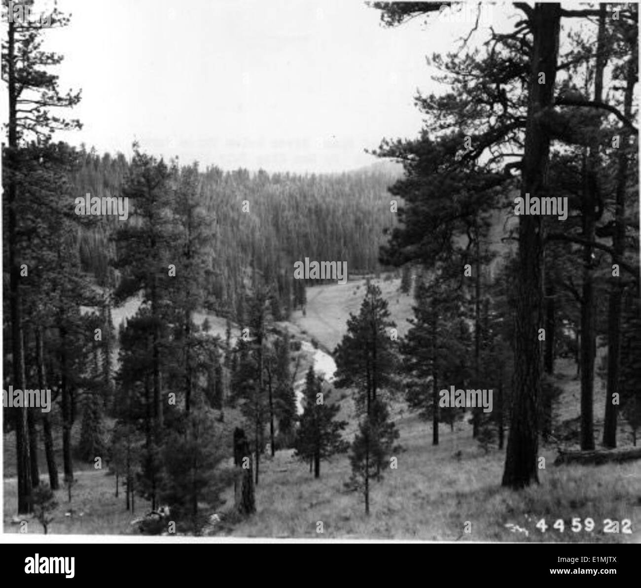 Biodiversity corridors Black and White Stock Photos & Images - Alamy
