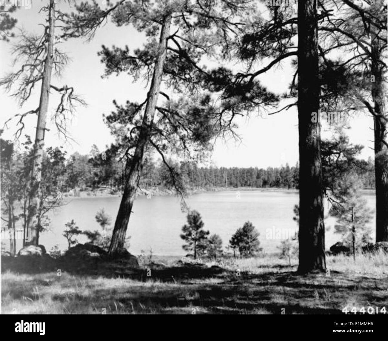 Observation example Black and White Stock Photos & Images - Alamy