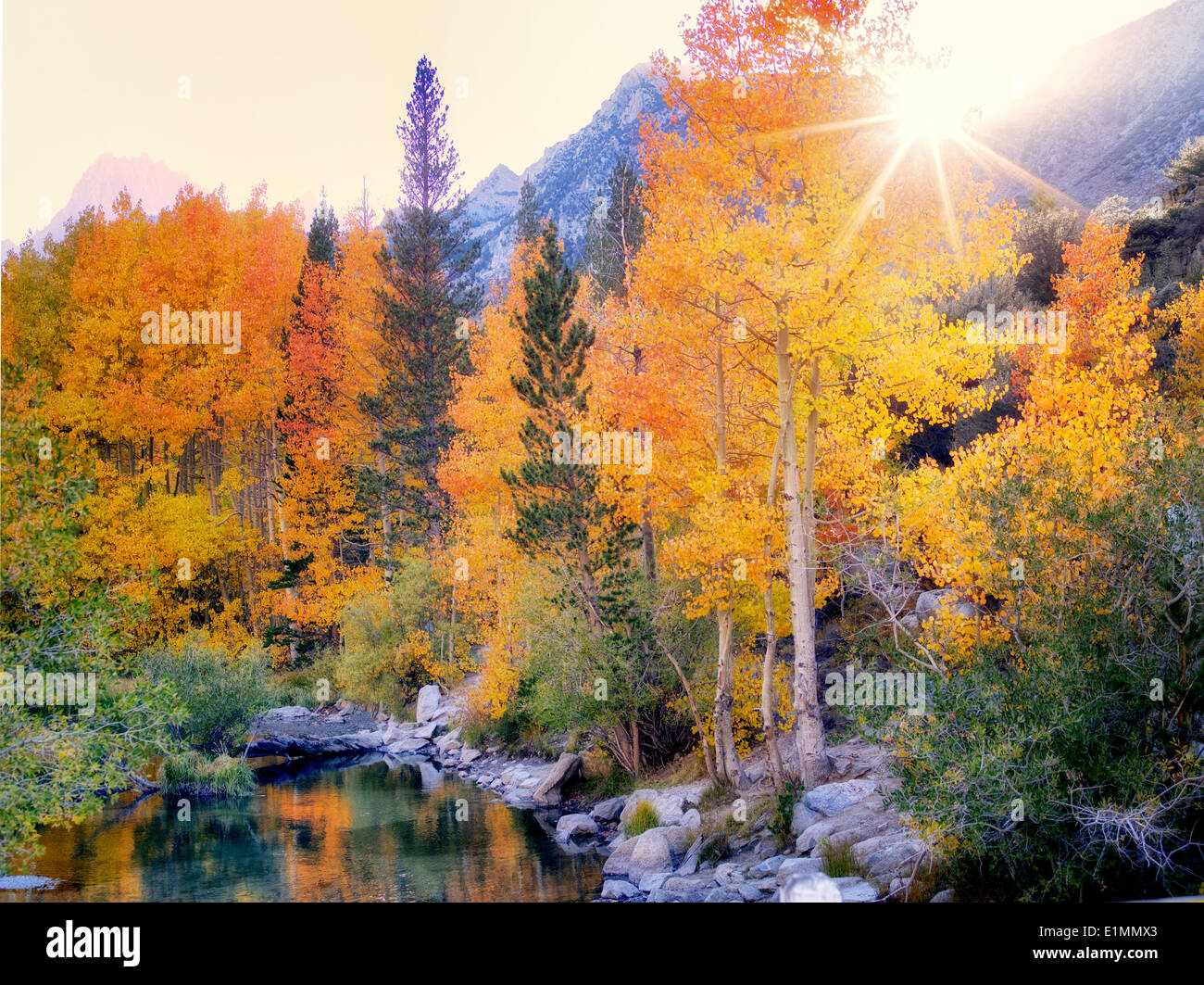 Fall colored aspens along Bishop Creek, California. Inyo County. Eastern Sierra Nevada Mountins Stock Photo