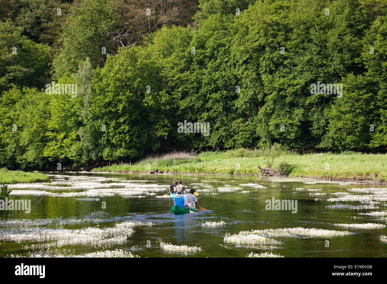 People in canoes on the Semois river in the neighborhood of Mortehan in Belgium Stock Photo