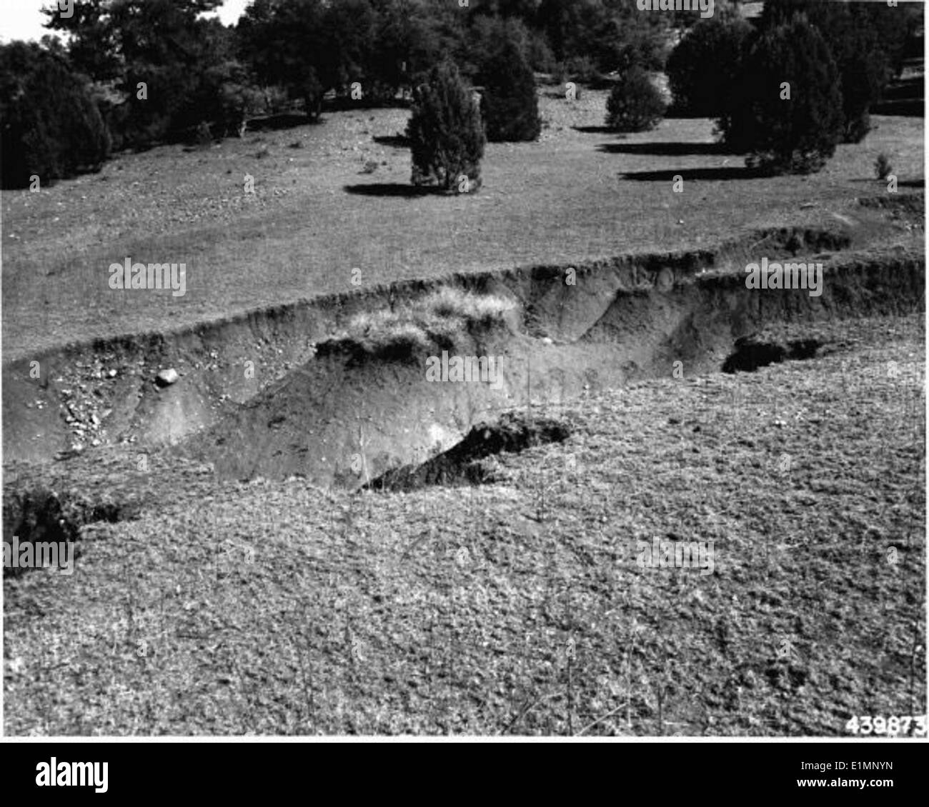 Image depicting natural beauty Black and White Stock Photos & Images ...