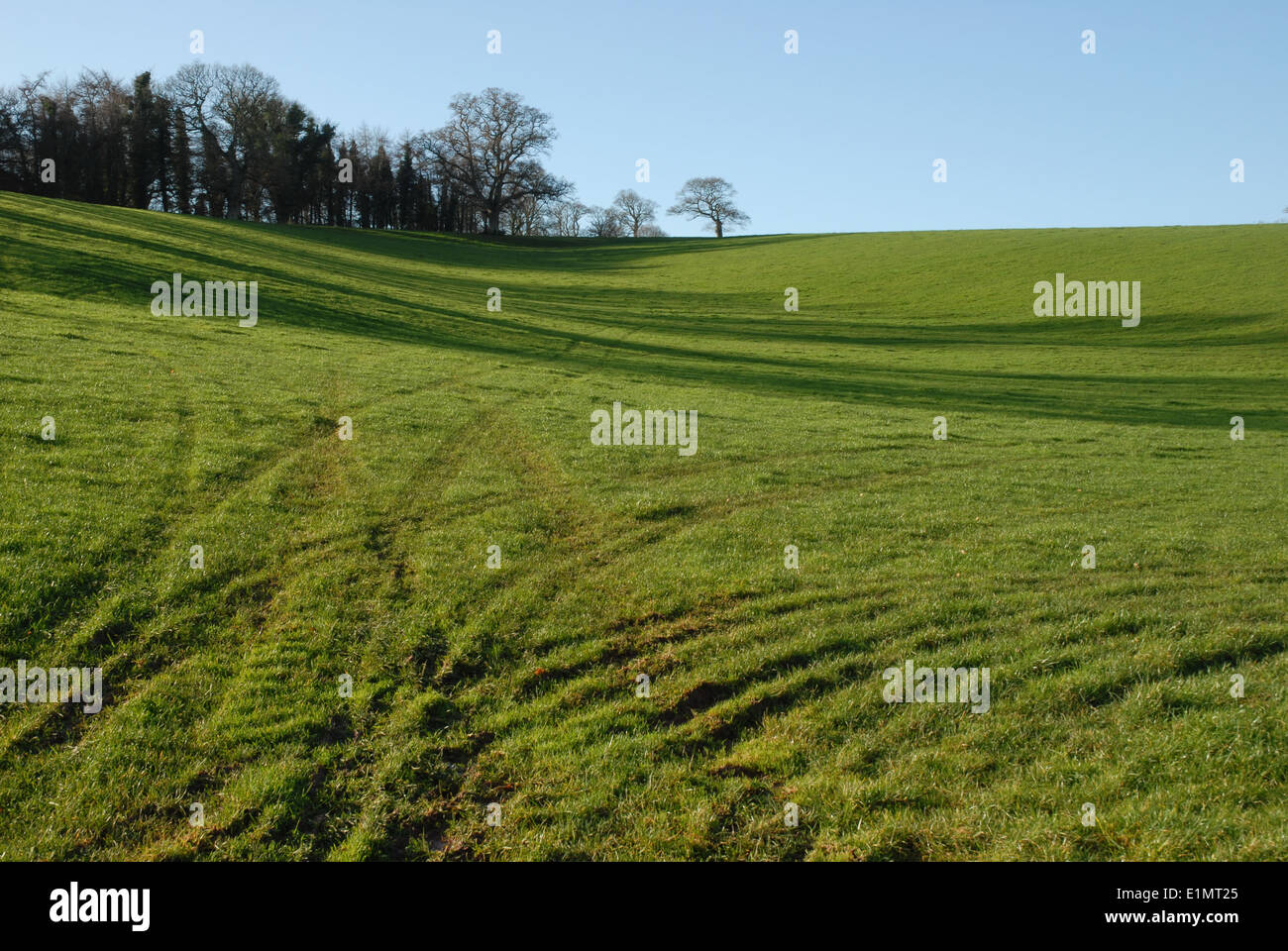 Farmland and Countryside behind Crediton, Devon, West of England, GB. Stock Photo
