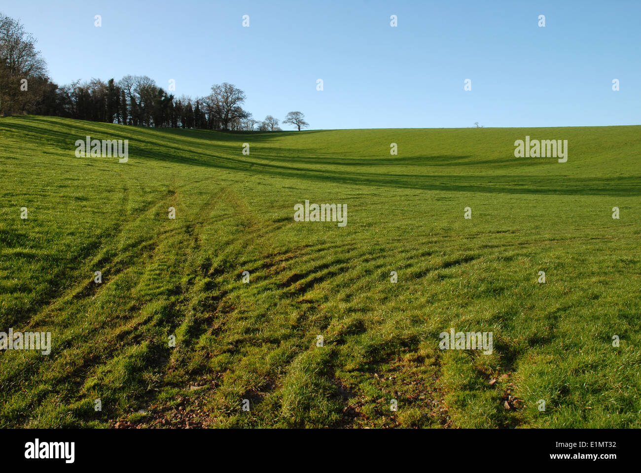 Farmland and Countryside behind Crediton, Devon, West of England, GB. Stock Photo