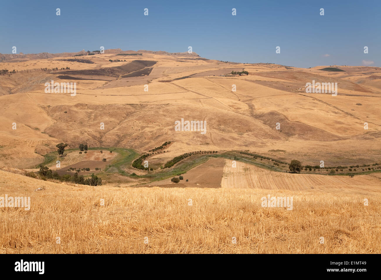 Agriculture in Sicilian landscape Stock Photo Alamy