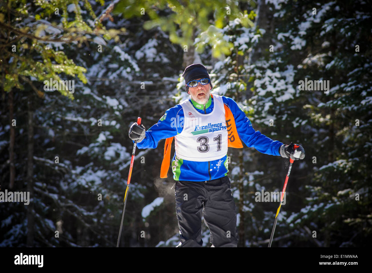 Cross country skiing in Canada Stock Photo Alamy
