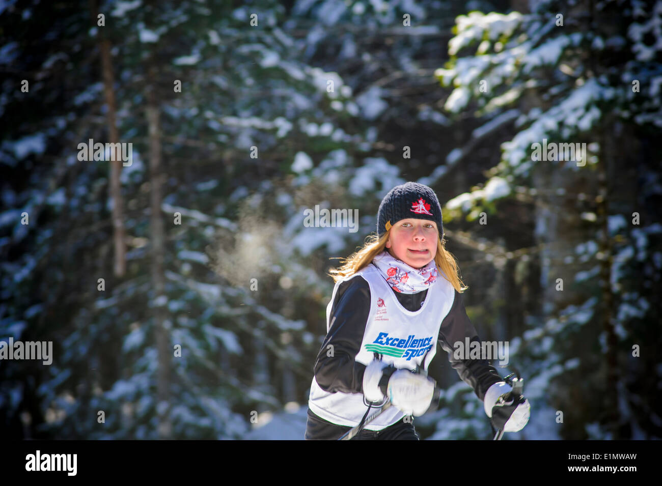 Cross country skiing in Canada Stock Photo Alamy