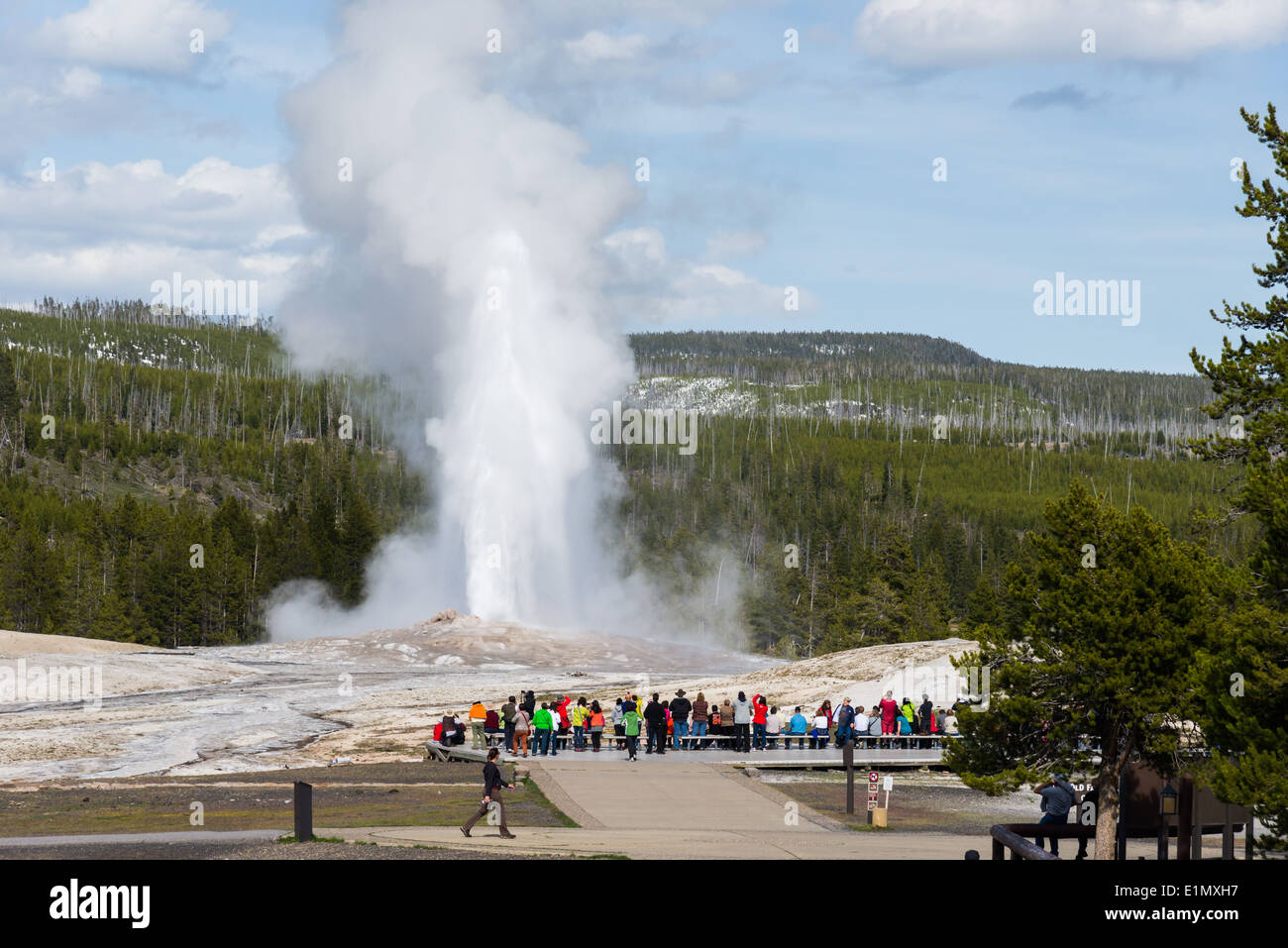 Crowd gather in front of the Old Faithful Geyser during an eruption. Yellowstone National Park, Wyoming, USA. Stock Photo