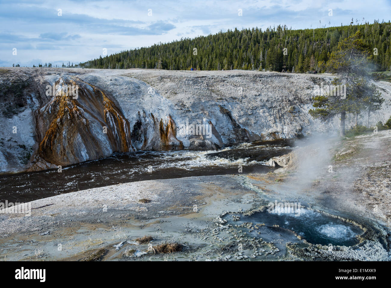 Hot springs and colorful deposits along the Firehole River. Yellowstone National Park, Wyoming, USA. Stock Photo