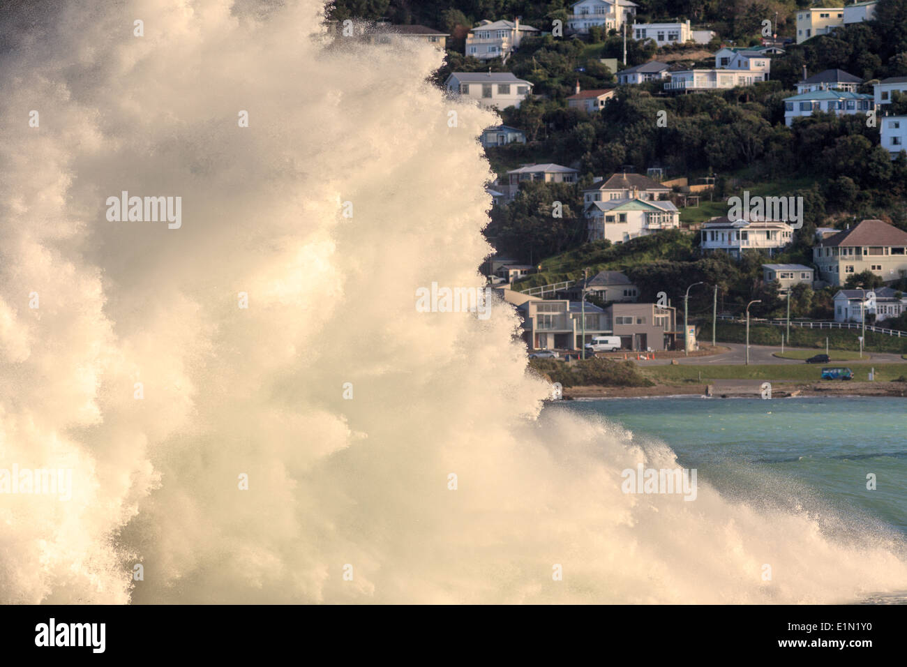 Giant waves crashing on breakwater,Lyal bay,Wellington,North Island,New Zealand Stock Photo