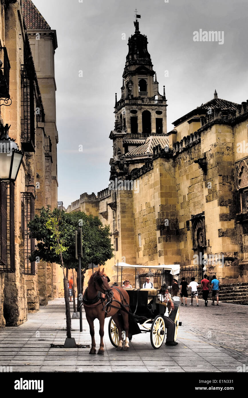 Horse and cart with the Bell tower of the Mezquita (Mosque-Cathedral) behind, Cordoba, Andalucia, Spain. AKA 'Great Mosque of Co Stock Photo