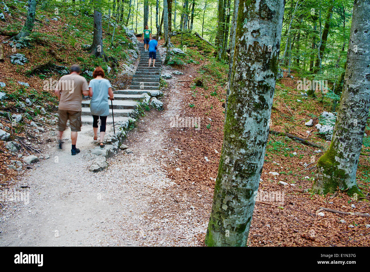 Slovenia, Gorenjska region, Triglav National Park, Bohinj Stock Photo