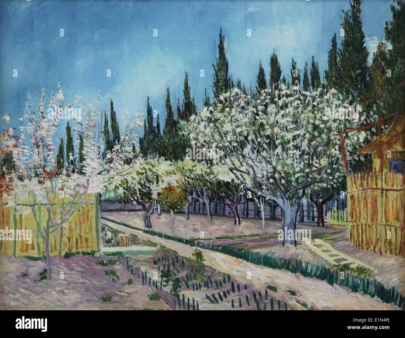 Vincent van Gogh.1853-1890.Orchard bordered by cypresses.1888 Stock Photo