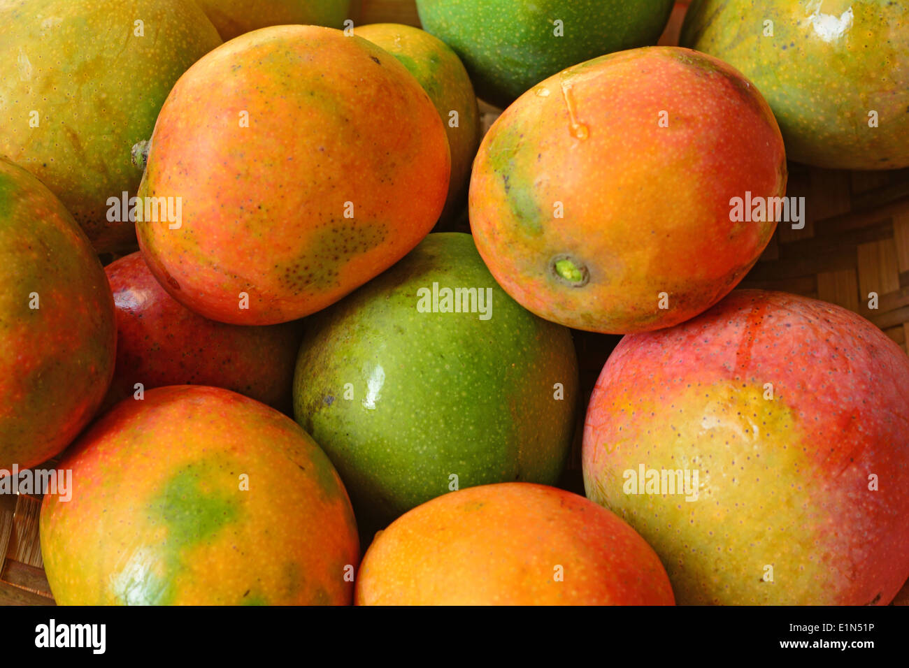 Kerala mango hires stock photography and images Alamy