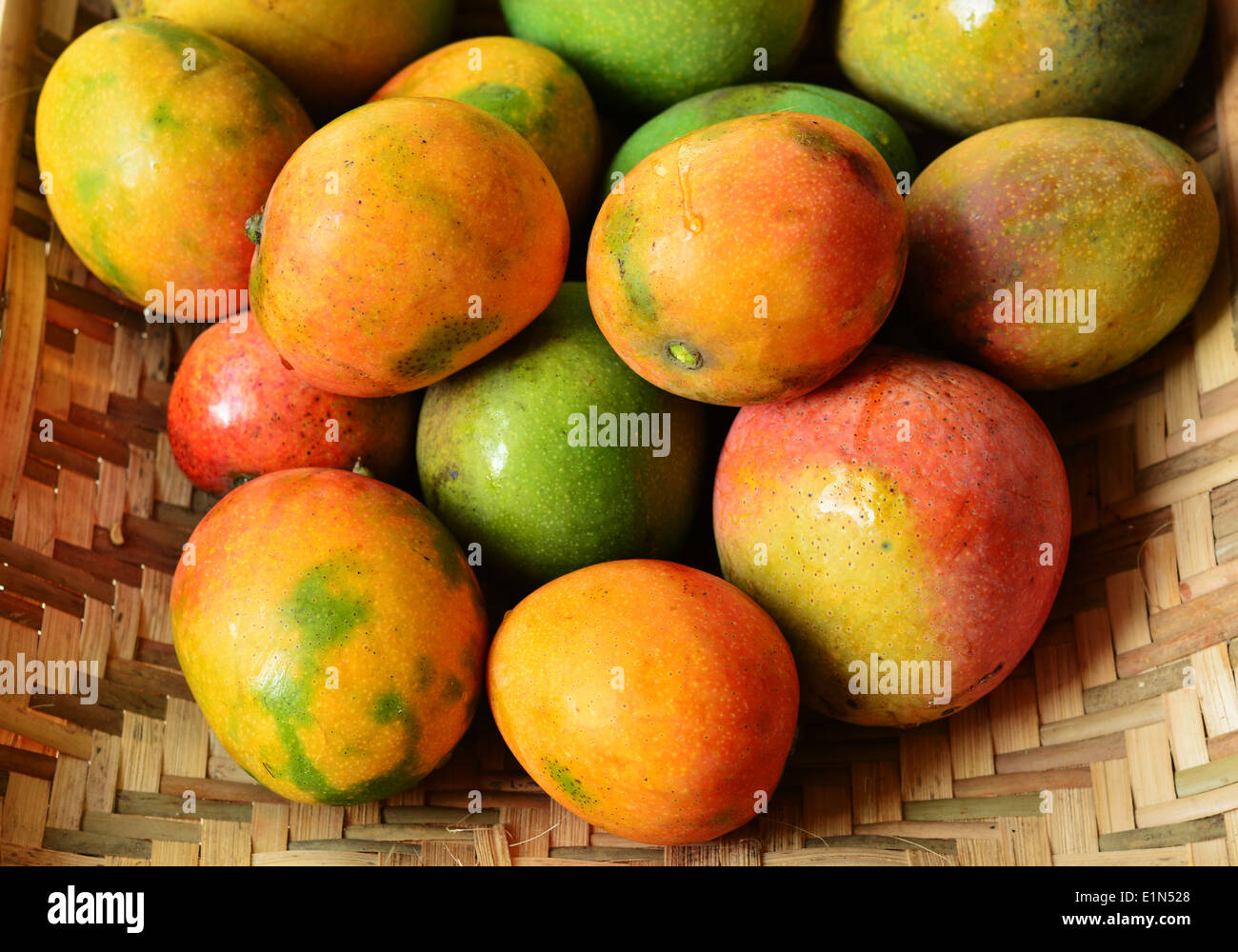 Indian mangoes Stock Photo