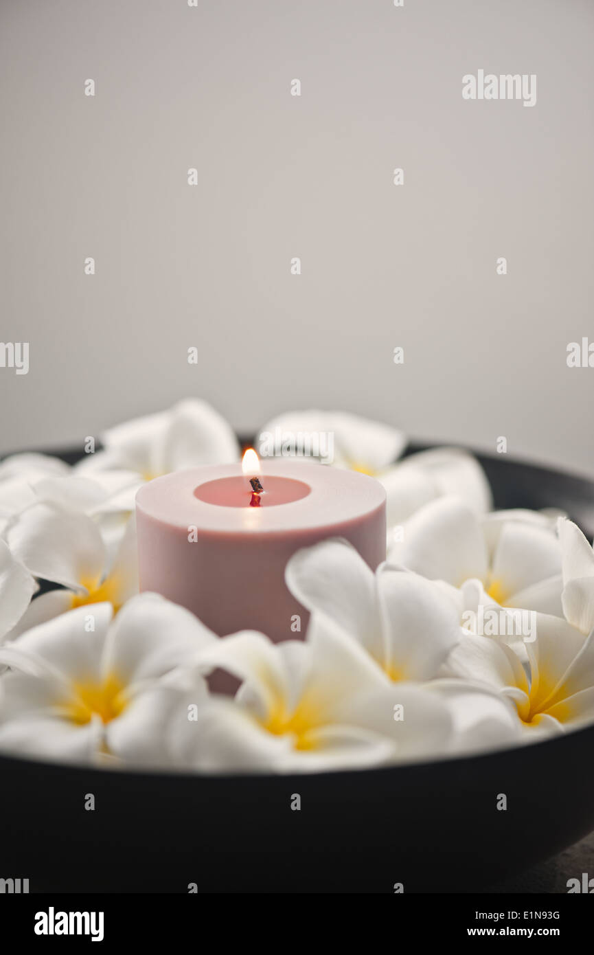 Frangipani flower and candle decoration in a bowl Stock Photo