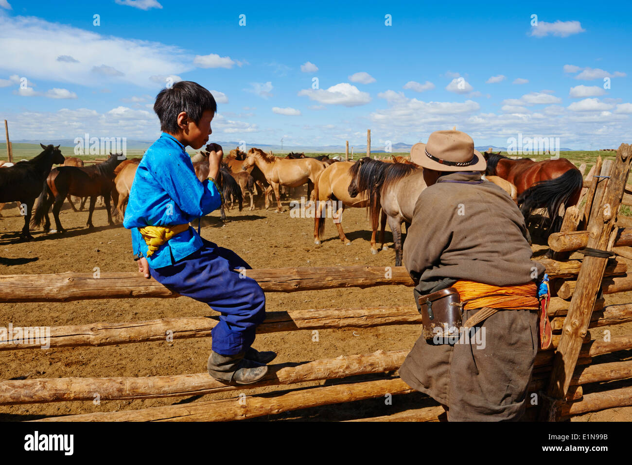 Mongolia, Tov province, Nomad camp, Rallying of horses drove Stock Photo