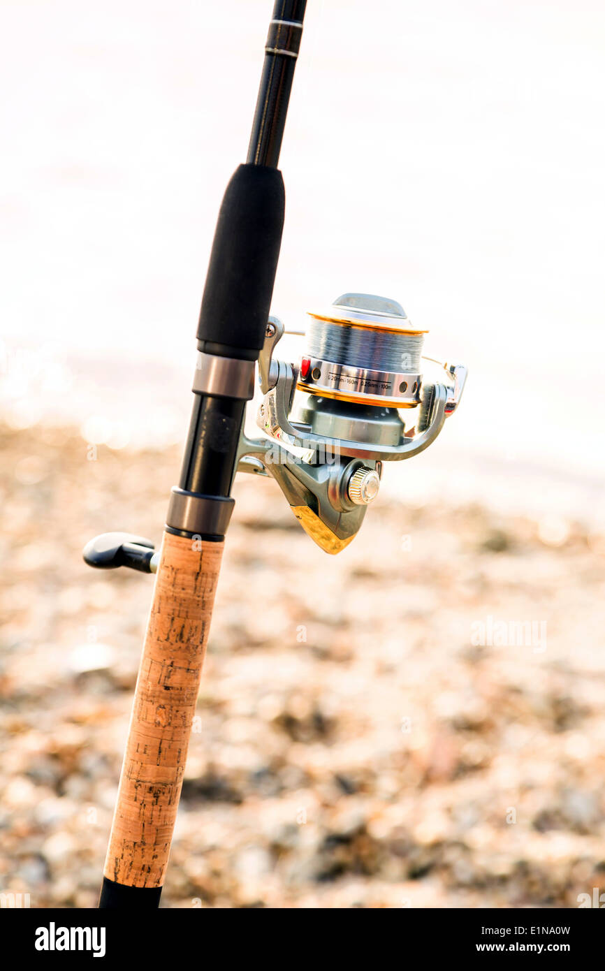 Fishing rod, and reel Stock Photo Alamy