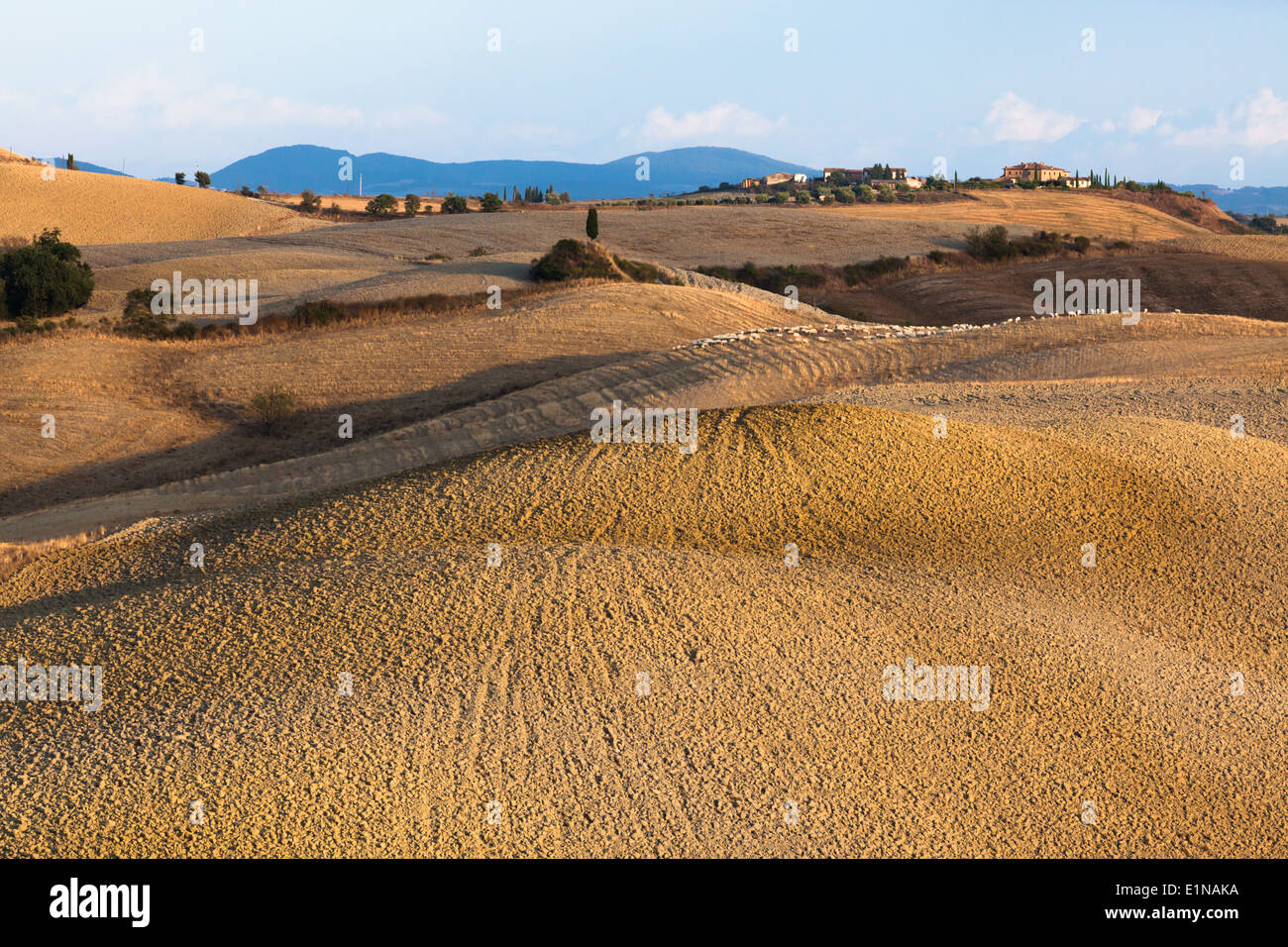 Ploughed land in region between Siena and Asciano, Crete Senesi, Province of Siena, Tuscany, Italy Stock Photo