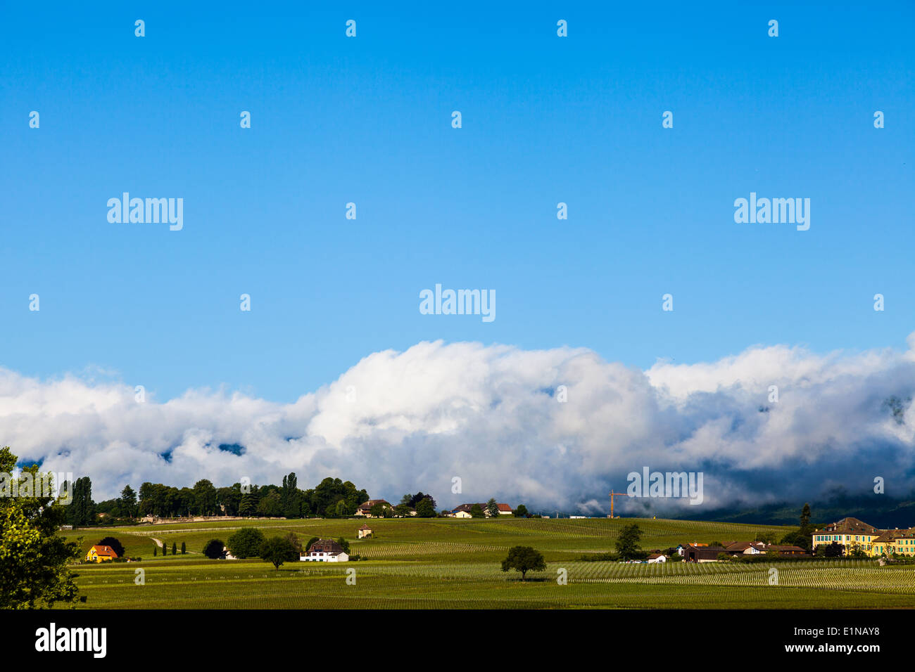 Vineyards adjacent the CERN accelerator centre in Geneva, Switzerland Stock Photo