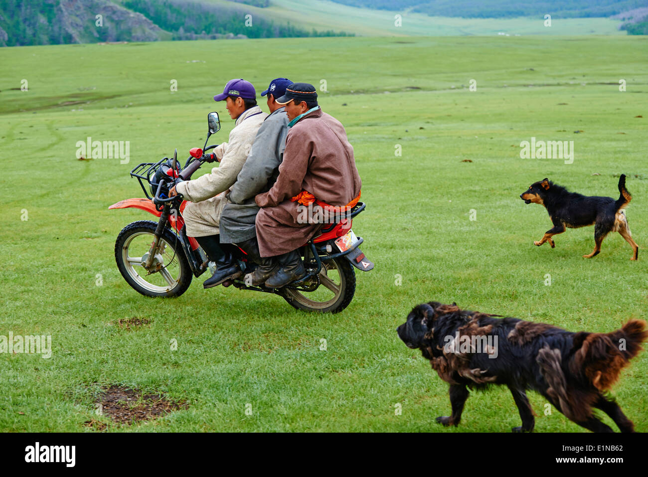 Mongolia, Ovorkhangai province, Okhon valley, Nomad with motorbike Stock Photo