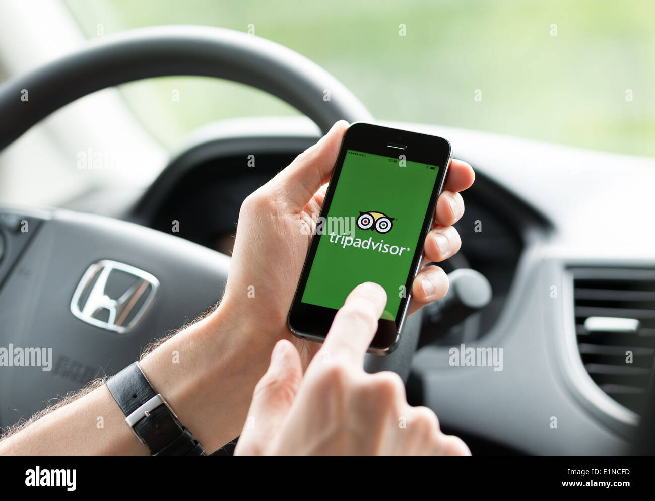Man in a car planning a trip using Tripadvisor app on Apple iPhone 5S Stock Photo