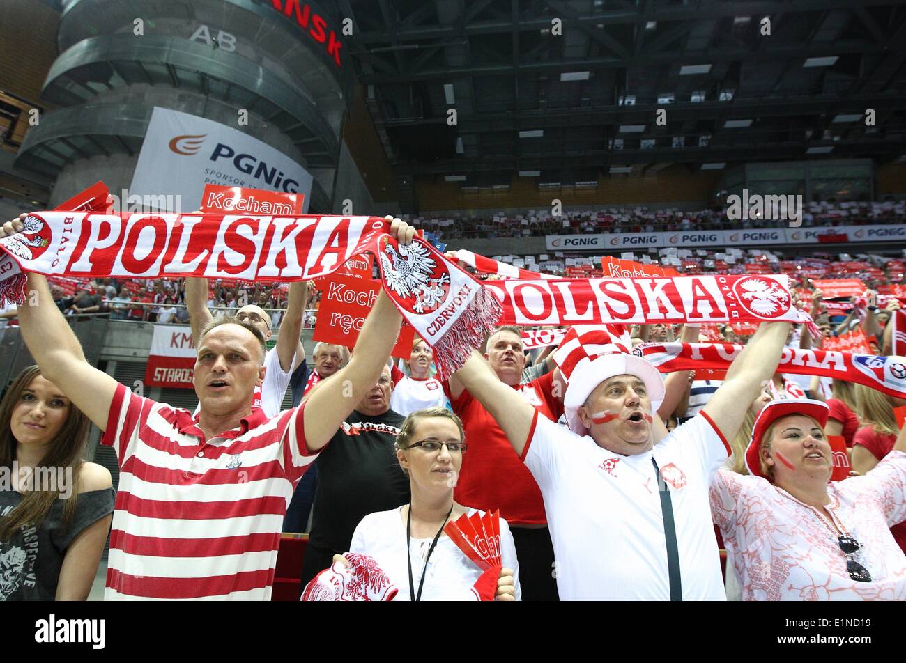Gdansk, Poland 7th, June 2014 Quatar 2015 Men's World Handball Championship Play Off game between Poland and Germany at ERGO Arena sports hall. Polish fans react during the game. Credit:  Michal Fludra/Alamy Live News Stock Photo