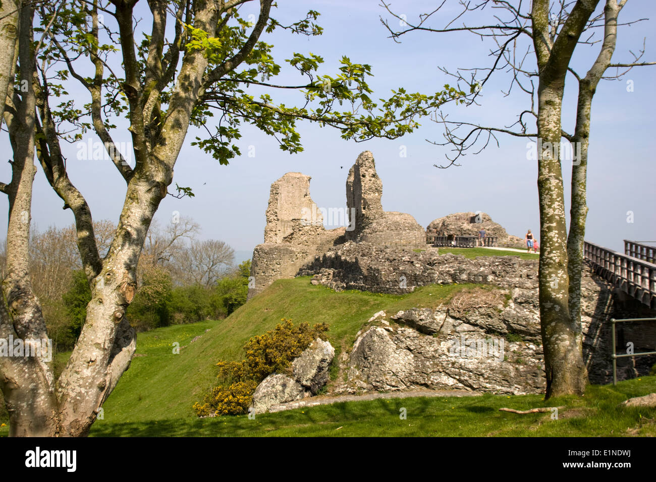 Montgomery Castle Montgomery Powys Wales UK Stock Photo Alamy