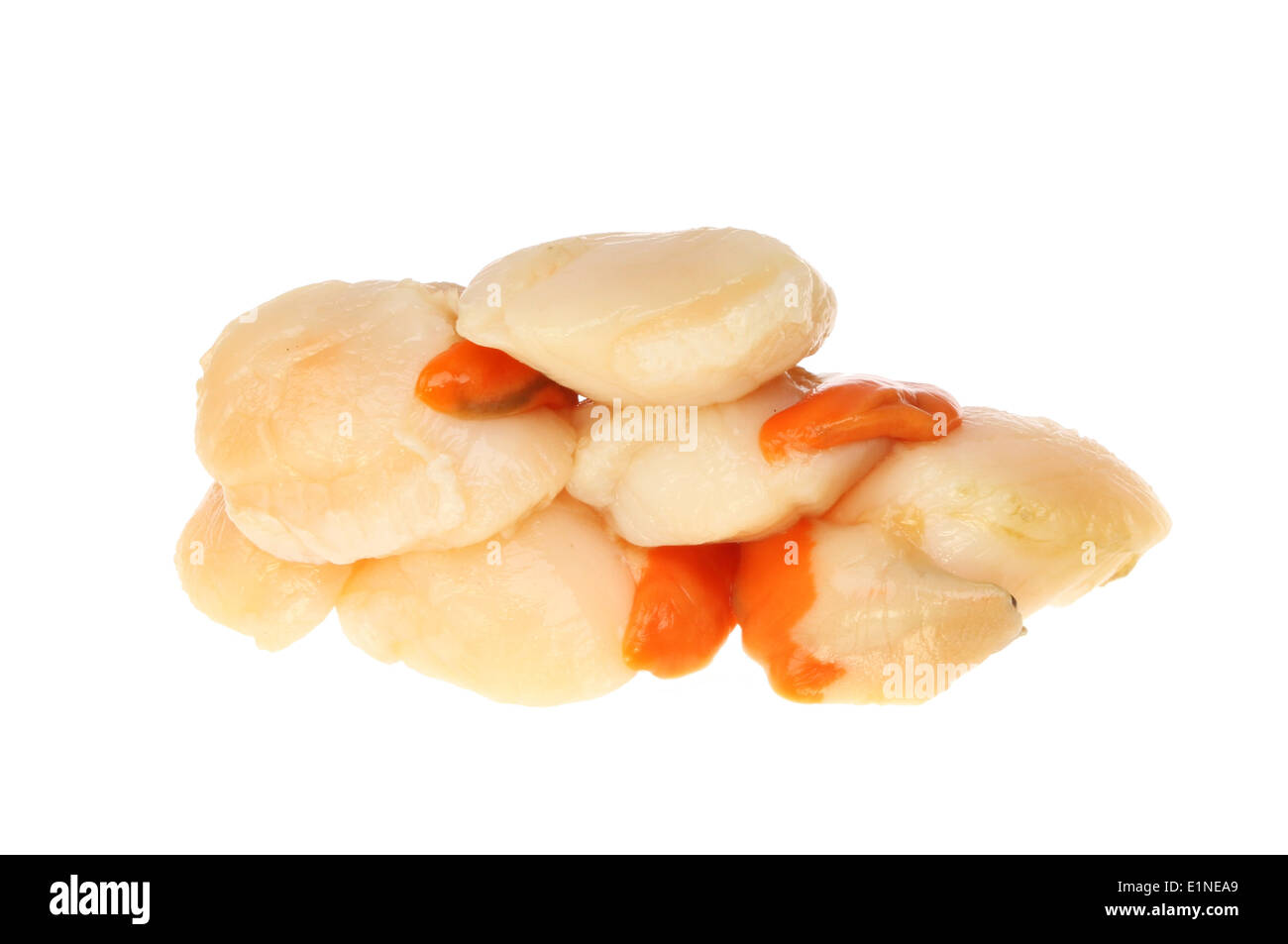 Fresh raw scallops isolated against white Stock Photo Alamy