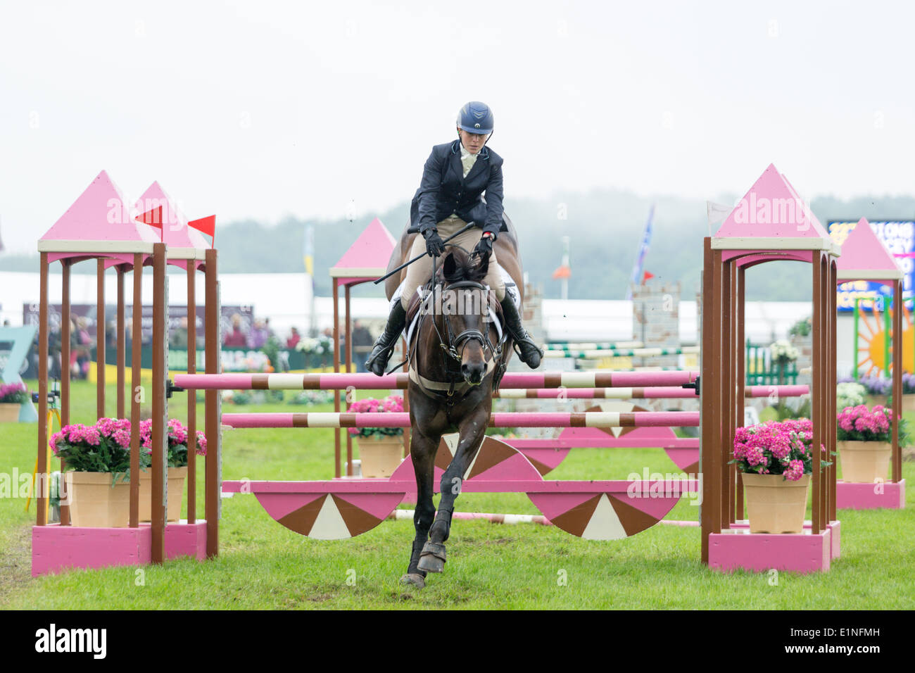Bramham, UK. 07th June, 2014. Bramham International Horse Trials. Pictured: Stacey Simmons (GBR) riding 'Orions Promise' Credit:  Any4 Photography/Alamy Live News Stock Photo