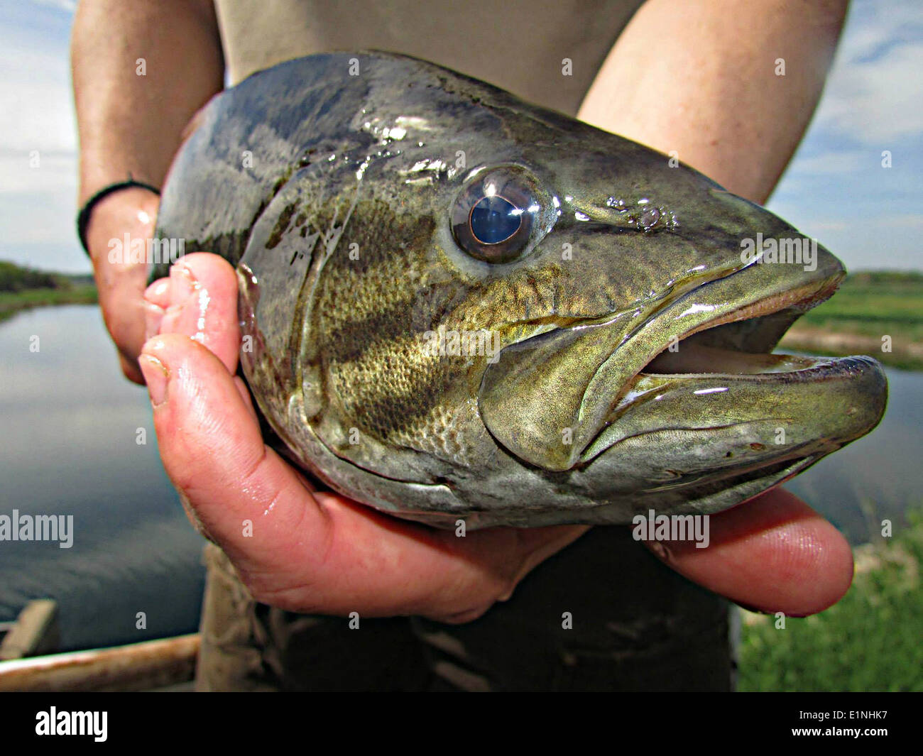 Gavins point national fish hatchery hires stock photography and images Alamy