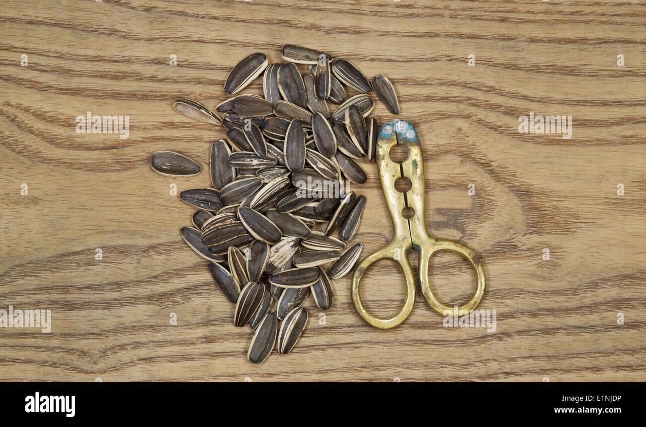 Horizontal top view, photo of sunflower seeds and brass hand tool to unshelled seeds on aged wood Stock Photo