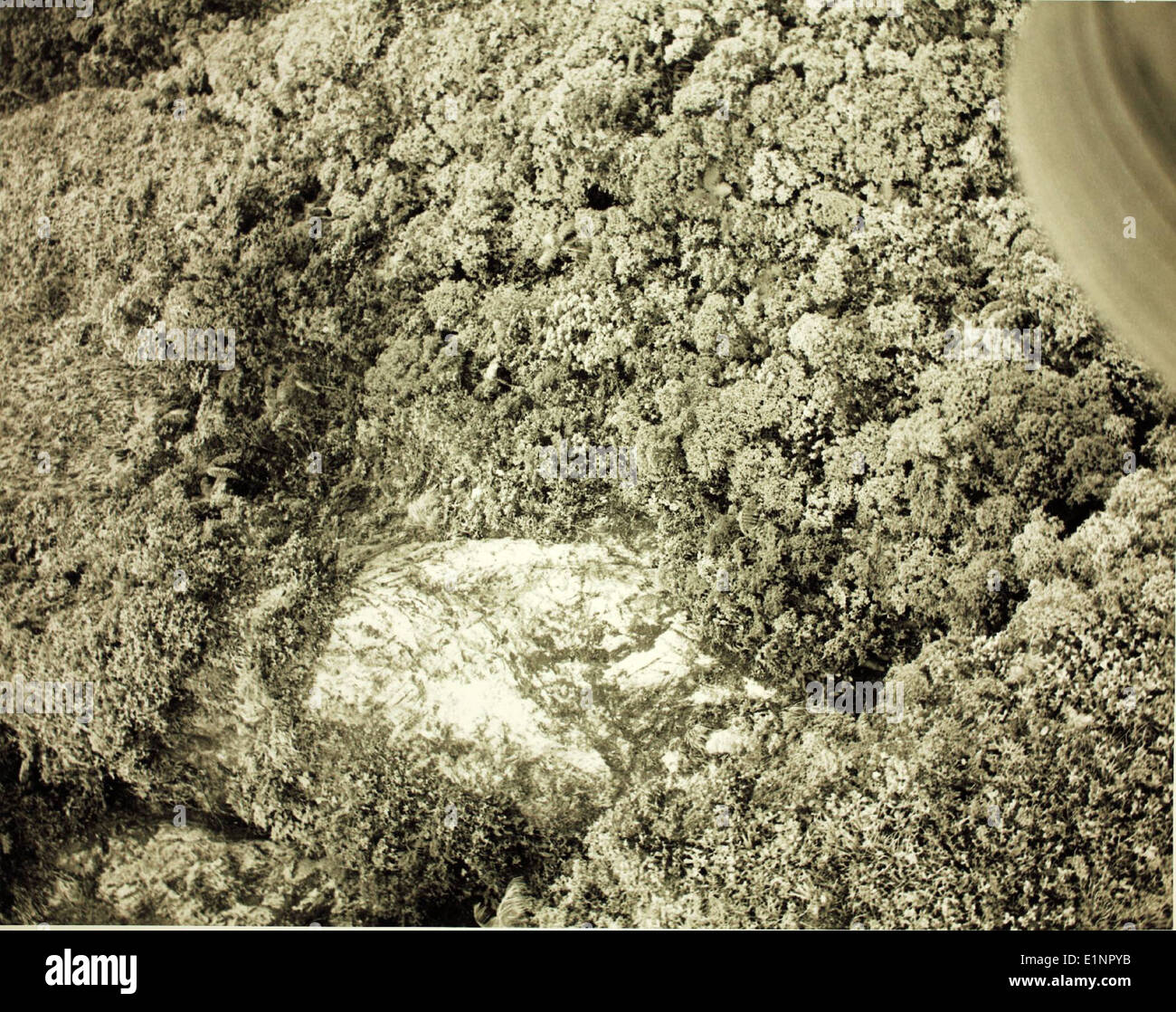 Aircraft Accident C54 Douglas Stock Photo Alamy